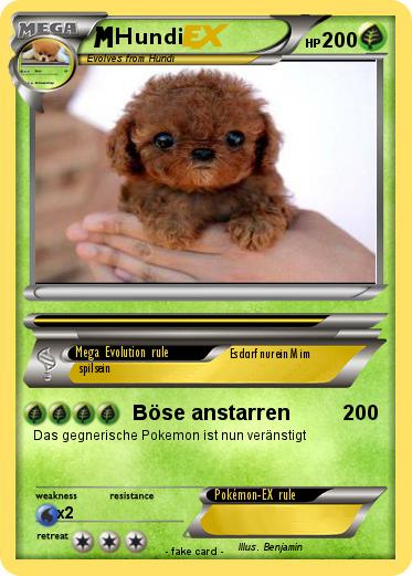 Pokemon Hundi
