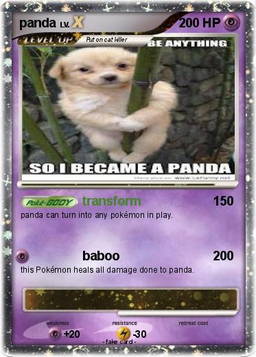 Pokemon panda