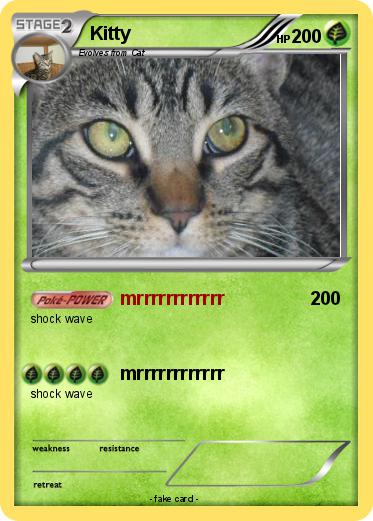 Pokemon Kitty