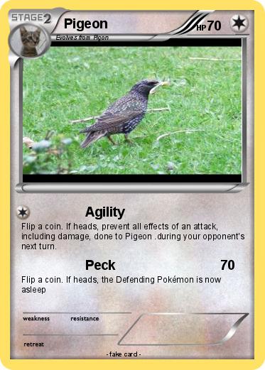 Pokemon Pigeon