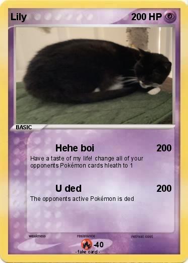 Pokemon Lily