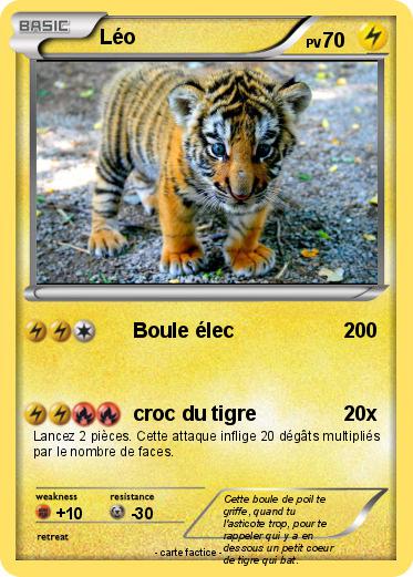 Pokemon Léo