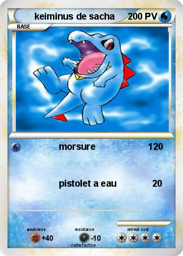 Pokemon keiminus de sacha