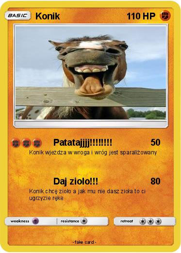 Pokemon Konik