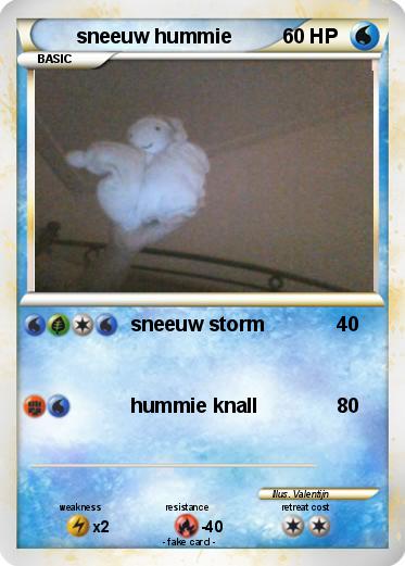 Pokemon sneeuw hummie