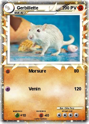 Pokemon Gerbillette