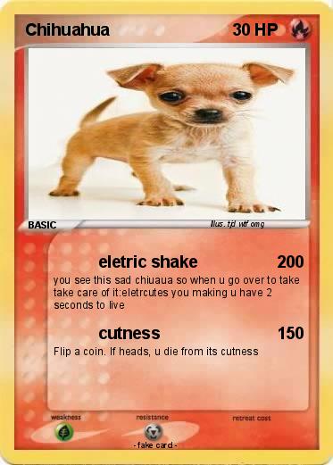 Pokemon Chihuahua