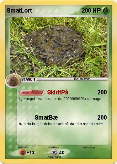Pokemon SmatLort