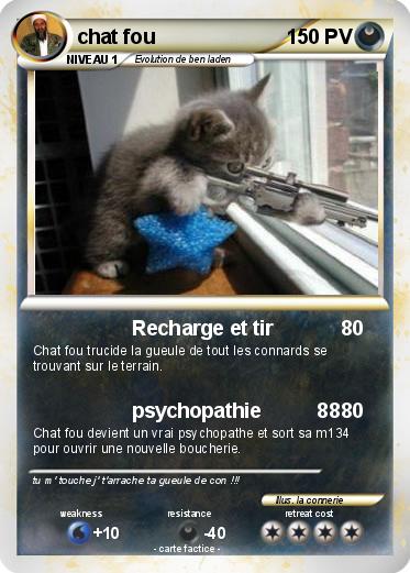 Pokemon chat fou