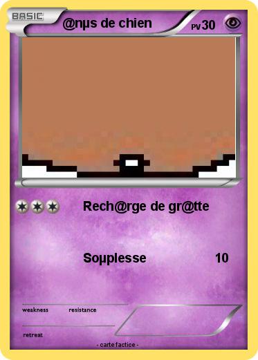 Pokemon @nµs de chien