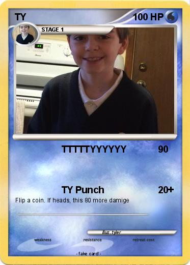 Pokemon TY