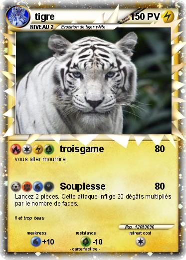 Pokemon tigre