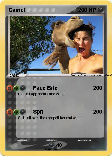 Pokemon Camel