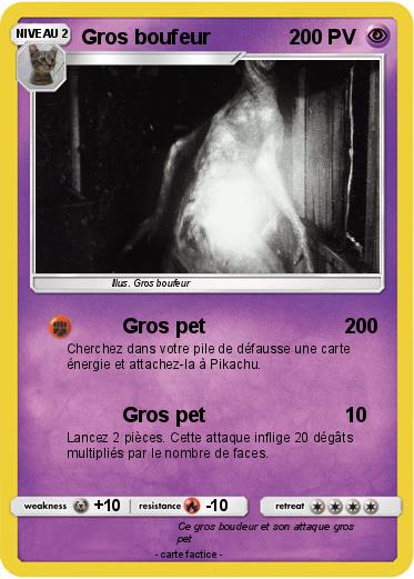 Pokemon Gros boufeur