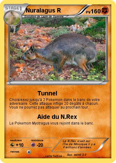Pokemon Nuralagus R
