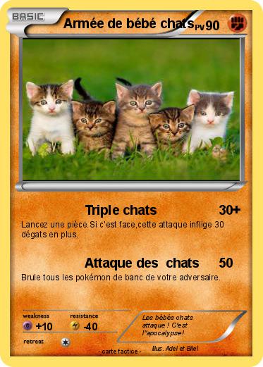 Pokemon Armée de bébé chats