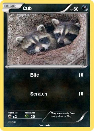 Pokemon Cub