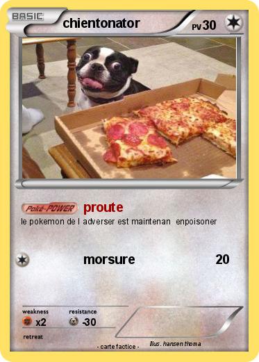 Pokemon chientonator