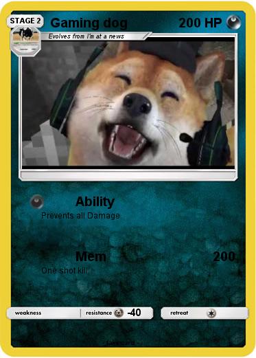 Pokemon Gaming dog