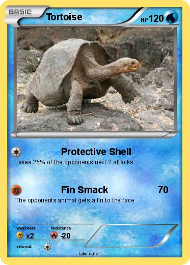 Pokemon Tortoise