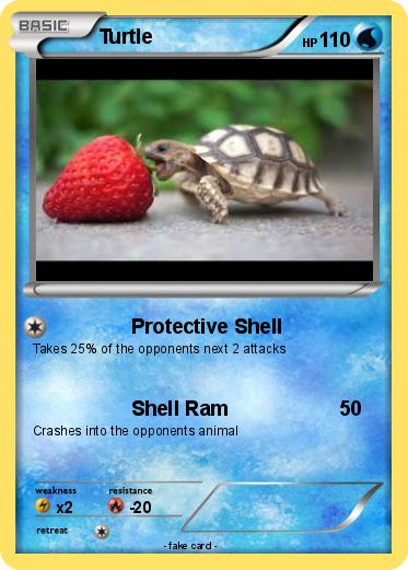 Pokemon Turtle