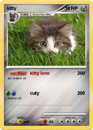 Pokemon kitty