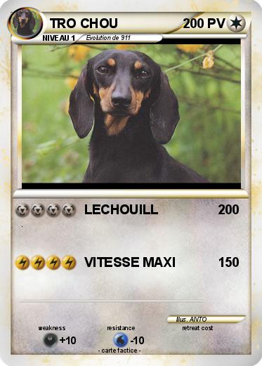 Pokemon TRO CHOU