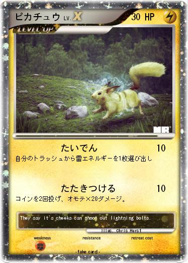 Pokemon ピカチュウ