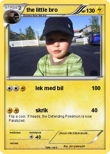 Pokemon the little bro