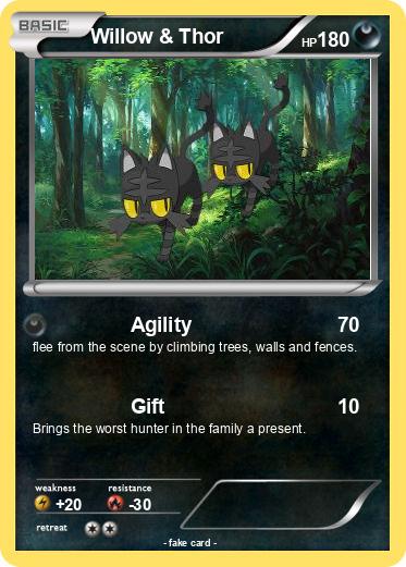 Pokemon Willow & Thor