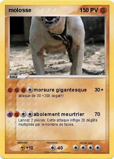 Pokemon molosse