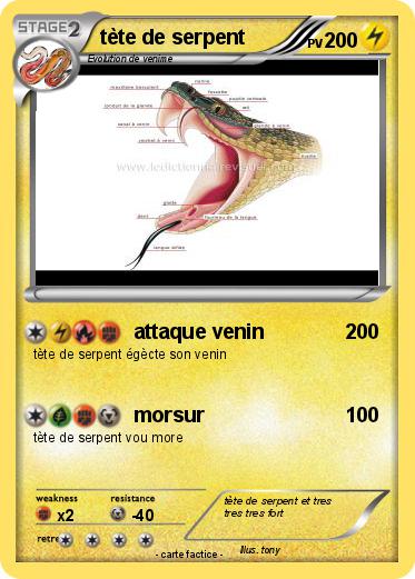 Pokemon tète de serpent