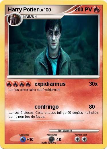 Pokemon Harry Potter