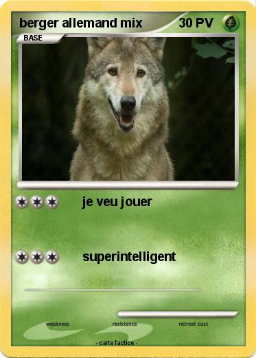 Pokemon berger allemand mix