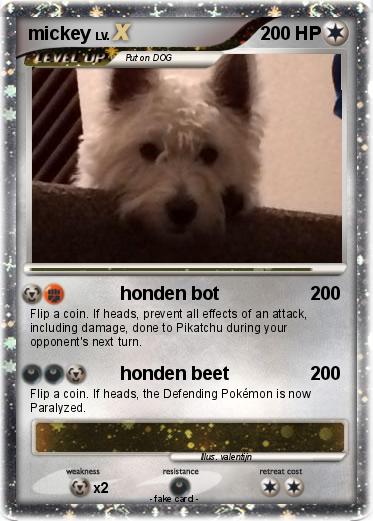 Pokemon mickey