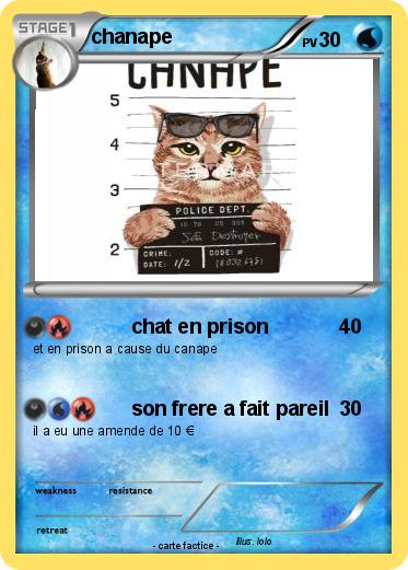Pokemon chanape