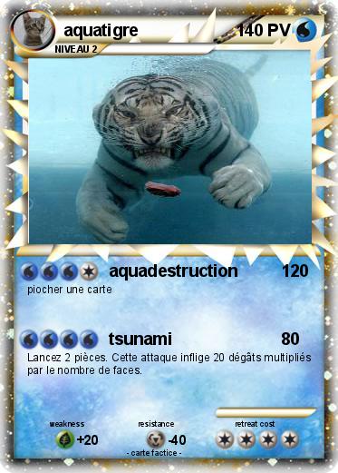 Pokemon aquatigre