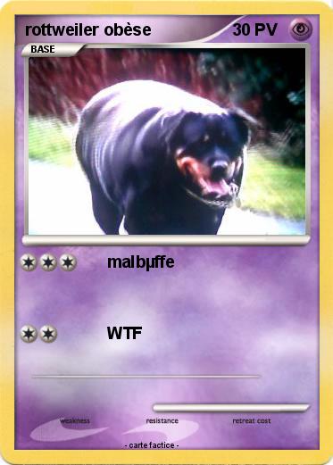 Pokemon rottweiler obèse