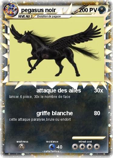 Pokemon pegasus noir