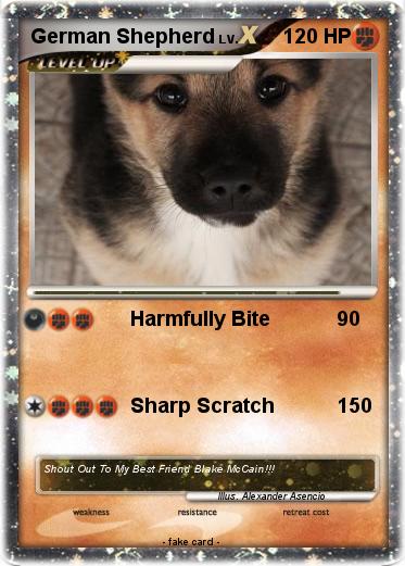 Pokemon German Shepherd