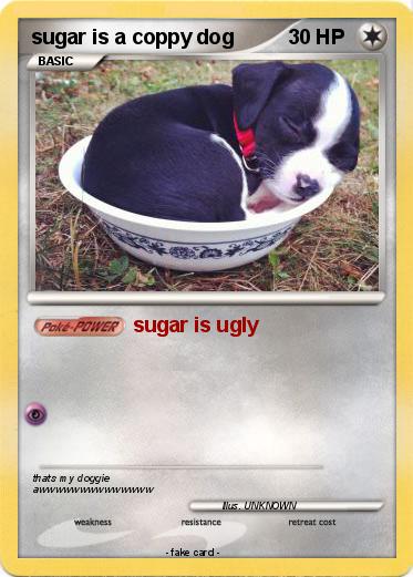 Pokemon sugar is a coppy dog