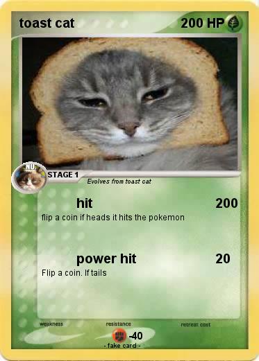Pokemon toast cat
