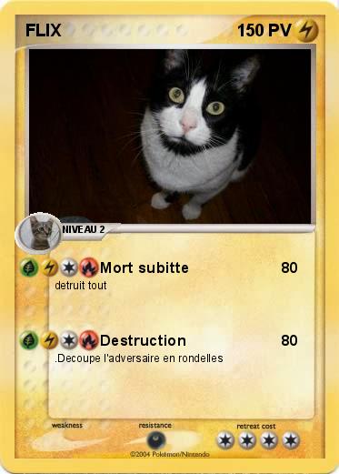 Pokemon FLIX