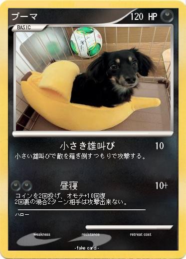 Pokemon プーマ