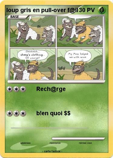 Pokemon loup gris en pull-over f@il