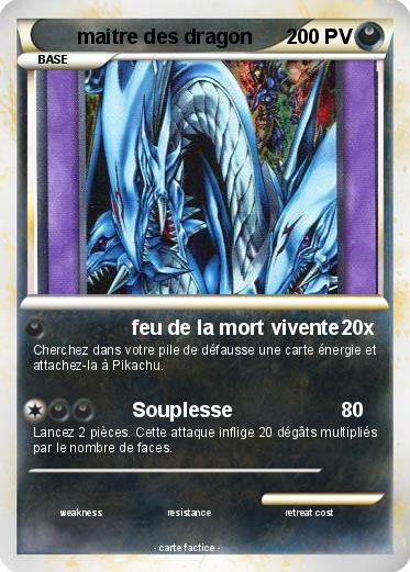 Pokemon maitre des dragon