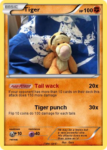 Pokemon Tiger