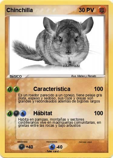 Pokemon Chinchilla
