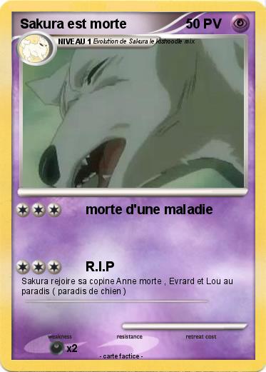 Pokemon Sakura est morte