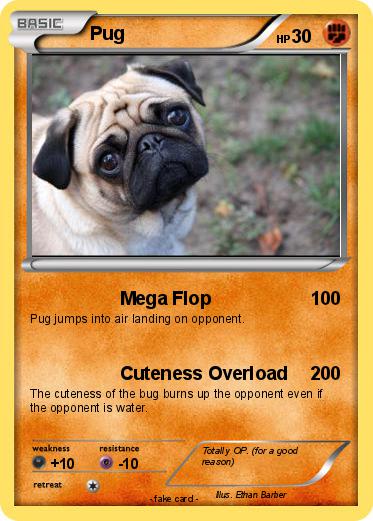 Pokemon Pug
